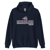 Stony Brook Hoodie 2