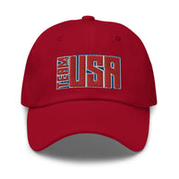 Team USA Inline Basic Hat