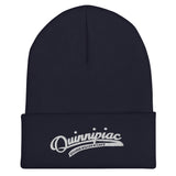 Cuffed Beanie