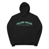 College Roller GW Hoodie